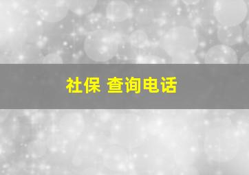 社保 查询电话